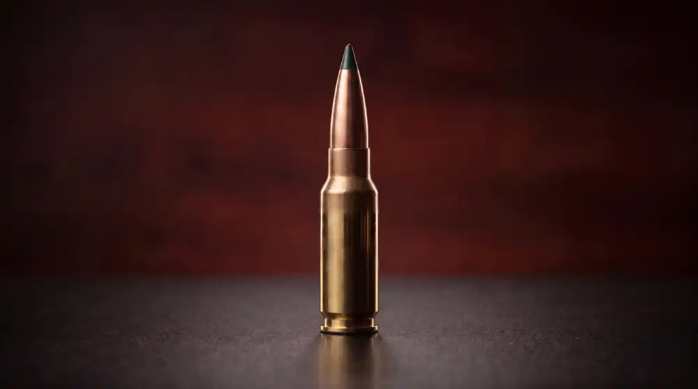 30 whitetail ammo w bkg